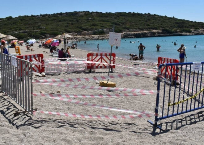 İçmeler sahilinde ağlara takılıp ölmüş caretta bulundu